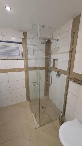 a shower with a glass door in a bathroom at Villa Müsli in Dettingen an der Iller