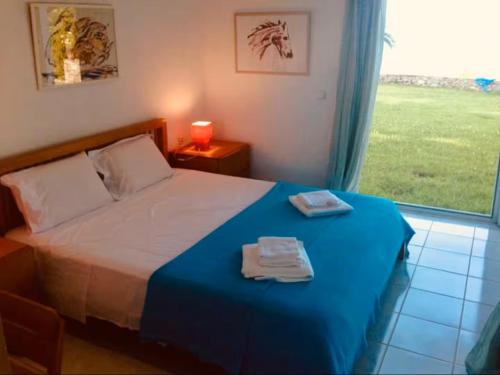 a bedroom with a bed with a blue blanket and a window at Villa Bienvenue Apartments in Kanapitsa