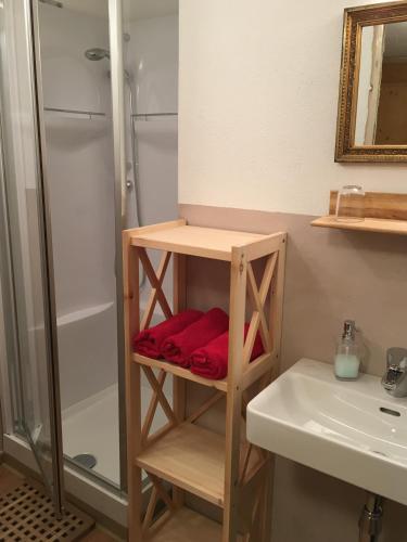a bathroom with a shower and a sink at Untersteinhof in Mittersill