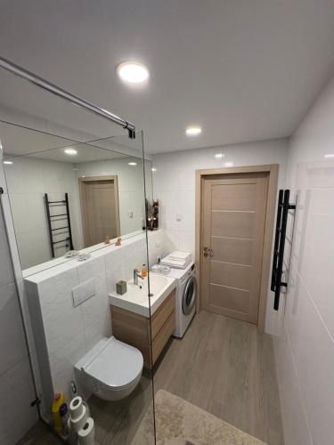 a bathroom with a toilet sink and a washing machine at Kaunas City Center Apartment in Kaunas