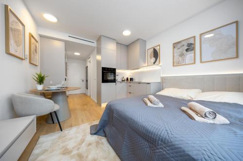 Luxury Studio VYDRICA, Castle & Danube, Prime Old Town