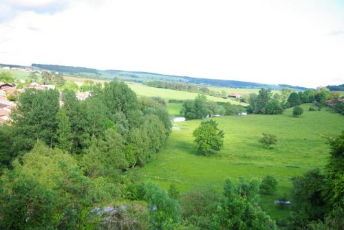 an aerial view of a green field with trees at Auberge de Marville in Marville