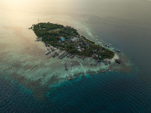 an island in the middle of the water at Angelfish Guest House Raja Ampat in Besir