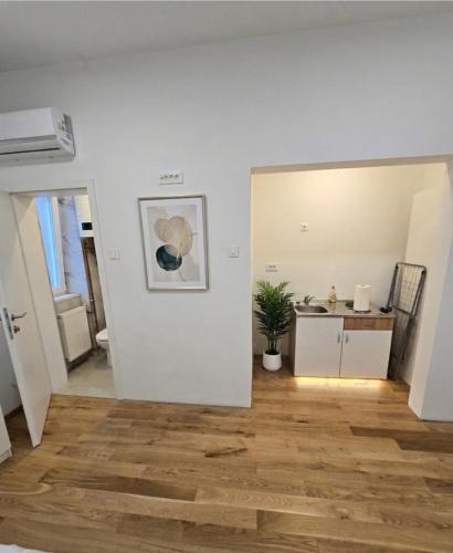 Mrazoviceva street 2bedroom apartment