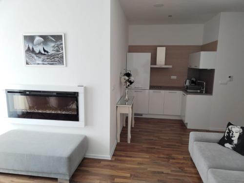 a living room with a couch and a fireplace at Oliver apartmán 6 in Štrbské Pleso