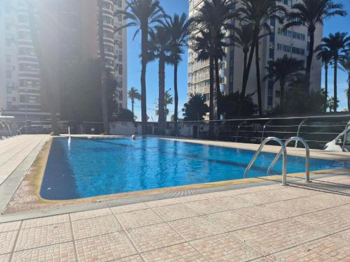 Las Damas estudio-Fincas Benidorm