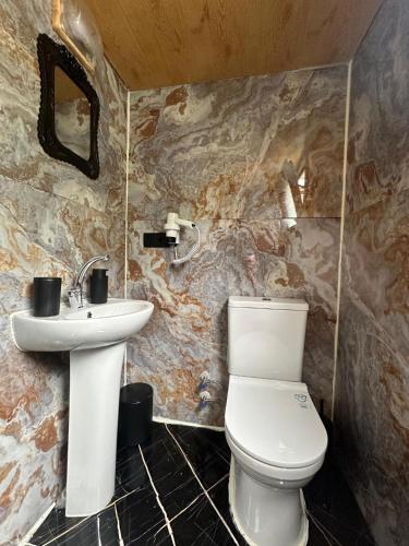 a bathroom with a toilet and a sink at Lahza Tiny House in Çamlıhemşin