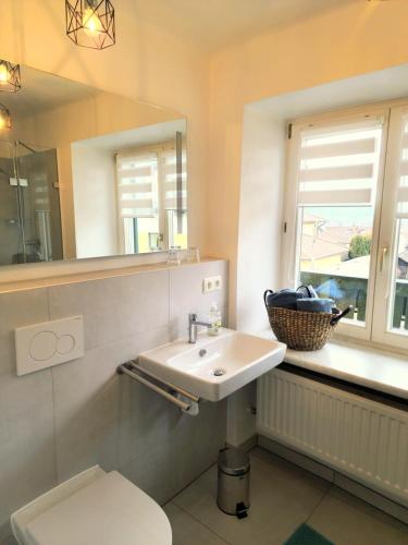 a bathroom with a sink and a toilet and a mirror at SPITZAUERs APARTMENTs in Anthering
