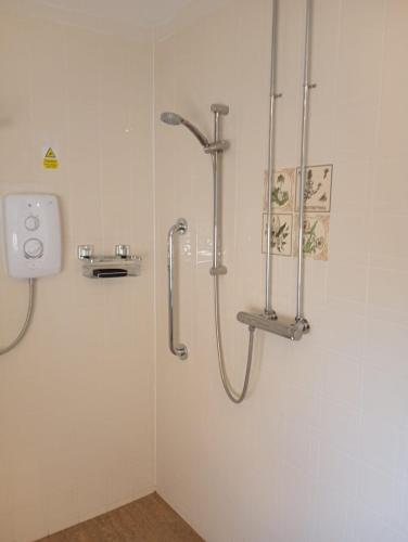 a shower stall in a bathroom with a toilet at The Catkins, Grove flock farm in Diss