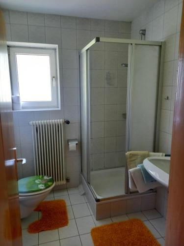 a bathroom with a shower and a toilet and a sink at Tischnerhof Appartements in Bad Kleinkirchheim