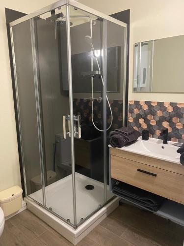 a bathroom with a shower and a sink at Escale sous le hêtre in Ploumilliau