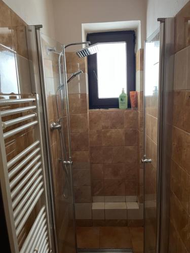a shower with a glass door in a bathroom at Zlatá Stezka in Modrava