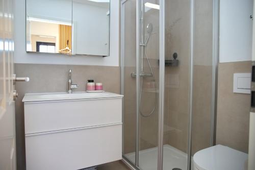 a bathroom with a shower and a sink and a toilet at Haus Titania App 9 inkl WLAN in Grömitz