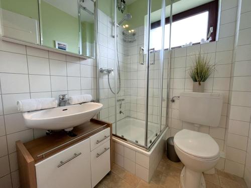 a bathroom with a toilet and a sink and a shower at Wattenküste in Büsumer Deichhausen