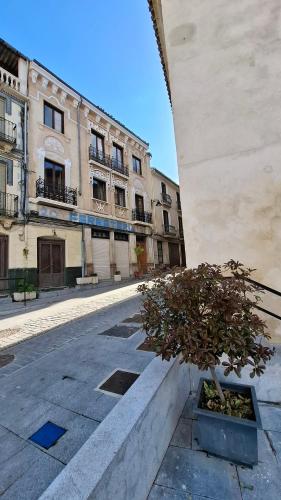 a tree in a planter in front of a building at Casa Antik in Loja