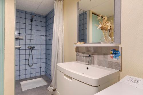 a bathroom with a sink and a shower at Gîte 4 Pers L'étoile De Mer in Apremont