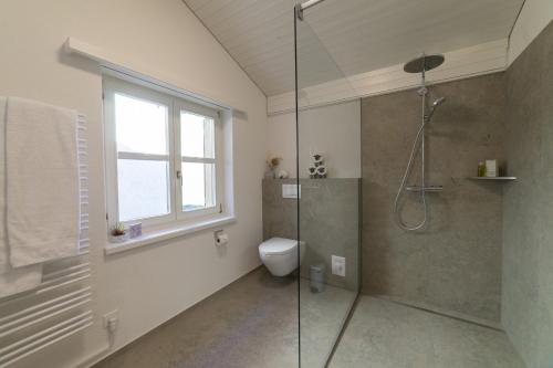 a bathroom with a shower and a toilet and a window at Chalet Stadel in Unterwasser