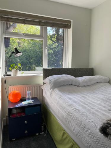 a bedroom with a bed and a window at Bedroom 2 with a little loo in King's Lynn