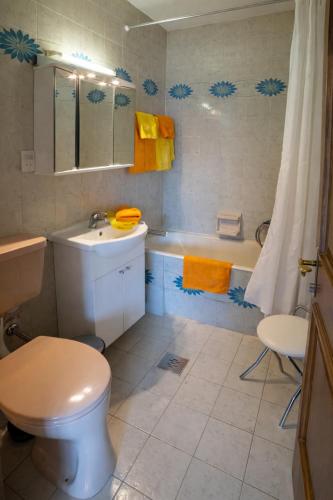 a bathroom with a toilet and a sink and a tub at Haus Kapeller in Seeboden