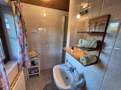 a bathroom with a sink and a toilet in it at Klein Schöntal in Göstling an der Ybbs
