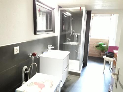 a bathroom with a white sink and a shower at DesAlpes in Saxeten