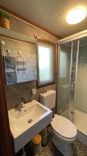 a bathroom with a sink and a toilet and a shower at Geniet van rust en privacy in onze gezellige chalet op familiecamping De Tien Heugten in Drenthe in Schoonloo