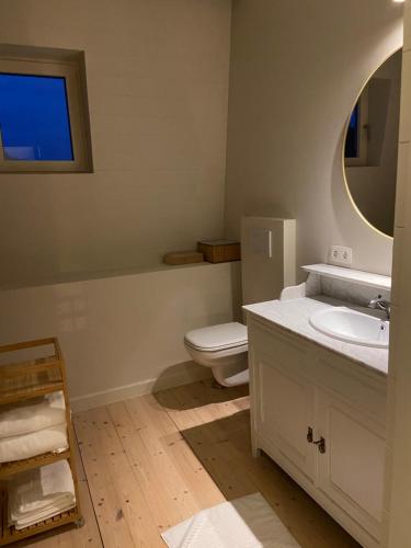 a bathroom with a toilet and a sink and a mirror at Annasroom in Kortrijk