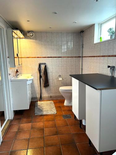 a bathroom with a sink and a toilet at Villa med Pool in Stockholm