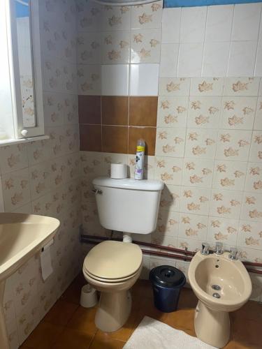 a bathroom with a white toilet and a sink at Roberto in Posadas