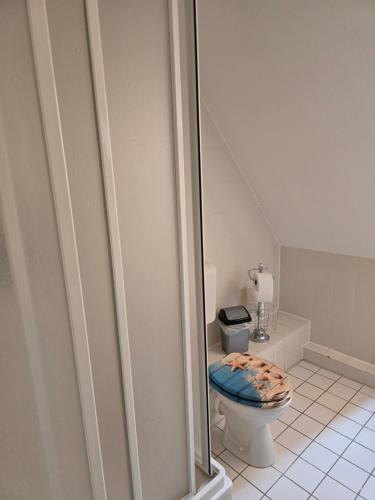 a bathroom with a toilet with a blue seat at Ferienwohnung Kloster Tempzin 19412 in Tempzin