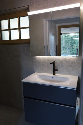 a bathroom with a sink and a mirror at Der Distelfalter in Oberhaag