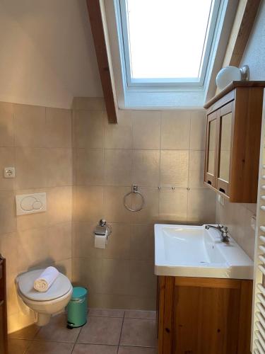 a bathroom with a sink and a toilet and a window at Dia Mare in Ueckeritz