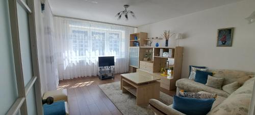 a living room with a couch and a tv at Santariškės Apartment in Vilnius