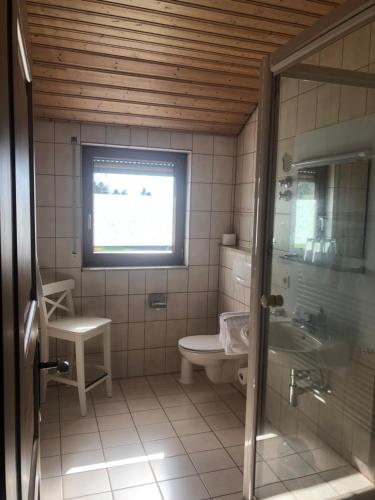 a bathroom with a toilet and a window at Solhof-Schömberg in Loßburg