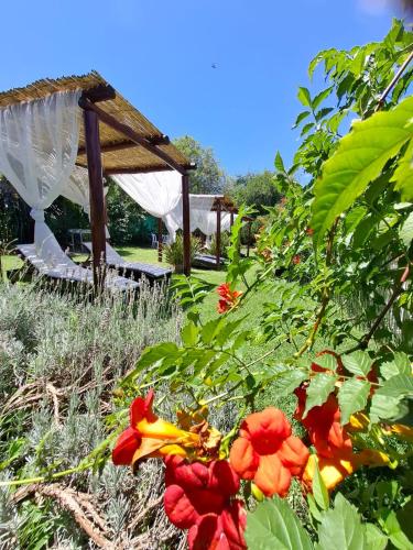 a garden with red flowers and a gazebo at Cabañas Thijada in Mina Clavero