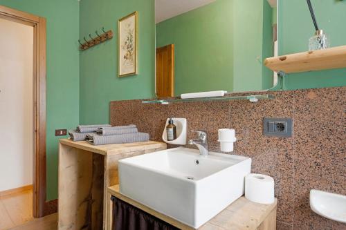 a bathroom with a white sink and a mirror at Relax At The Mountain in Madonna di Campiglio