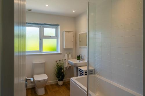 a bathroom with a toilet and a sink and a shower at Chuggs Orchard in Croyde