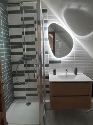 a bathroom with a shower and a sink and a mirror at Chambres d'hôtes les Boulommiers in Samois-sur-Seine