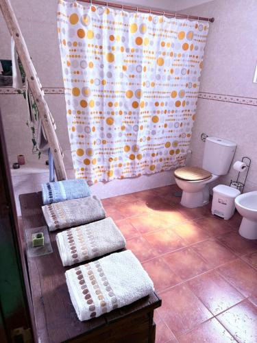 a bathroom with a toilet and a shower curtain at Refugio da Maceira in Marvão