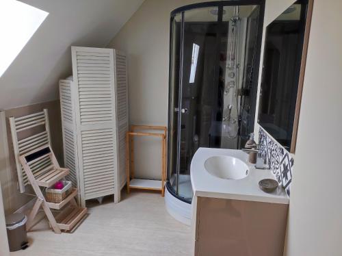 a bathroom with a shower and a sink at Le Vallon de Paray in Paray-le-Monial