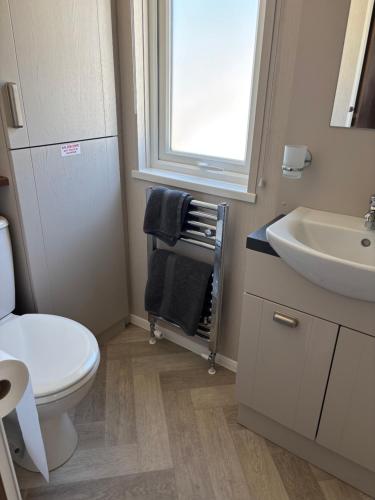 a bathroom with a white toilet and a sink at Hardys Caravan Park in Ingoldmells