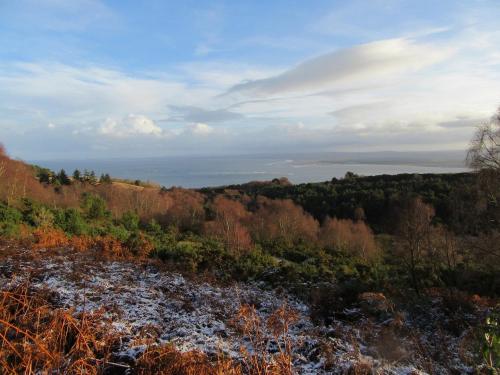 a view of a hill with trees and snow at Kestrel, Longhouse Cottages in Rosemarkie
