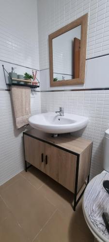 a bathroom with a sink and a mirror and a toilet at HuesPet&You in Sanlúcar de Guadiana