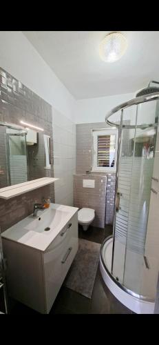 a bathroom with a shower and a sink and a toilet at Agrotourism Galic Krka in Drinovci