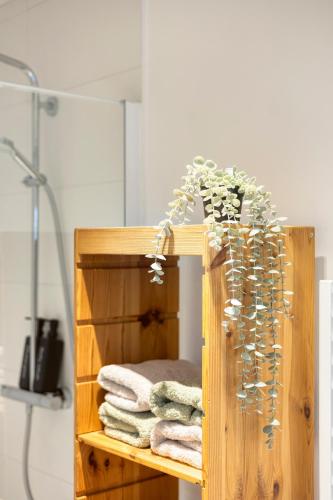 a wooden shelf with towels and a plant at Markt 5 in Lier