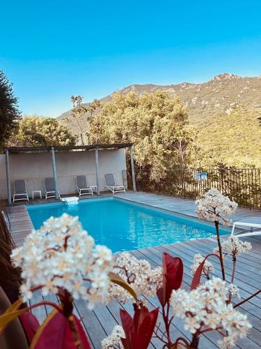 a swimming pool with chairs and flowers on a deck at Hôtel Villa Les Orangers in Olmeto