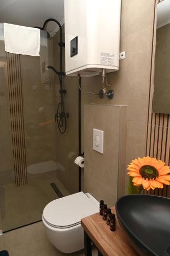 a bathroom with a toilet and a sink and a shower at Elysium1 in Banja Luka