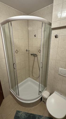 a bathroom with a shower and a toilet at Penzión Lindava in Budmerice