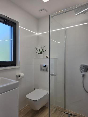 a bathroom with a toilet and a glass shower at NOVA ULINIA Sea - dom nad morzem, podgrzewany basen, sauna, balia z jacuzzi,Starlink in Ulinia