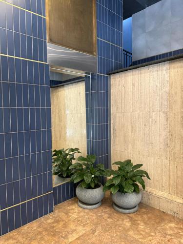 a row of potted plants in a room with blue tiles at Aegis building in Johannesburg